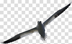 Computer Icons , others transparent background PNG clipart thumbnail