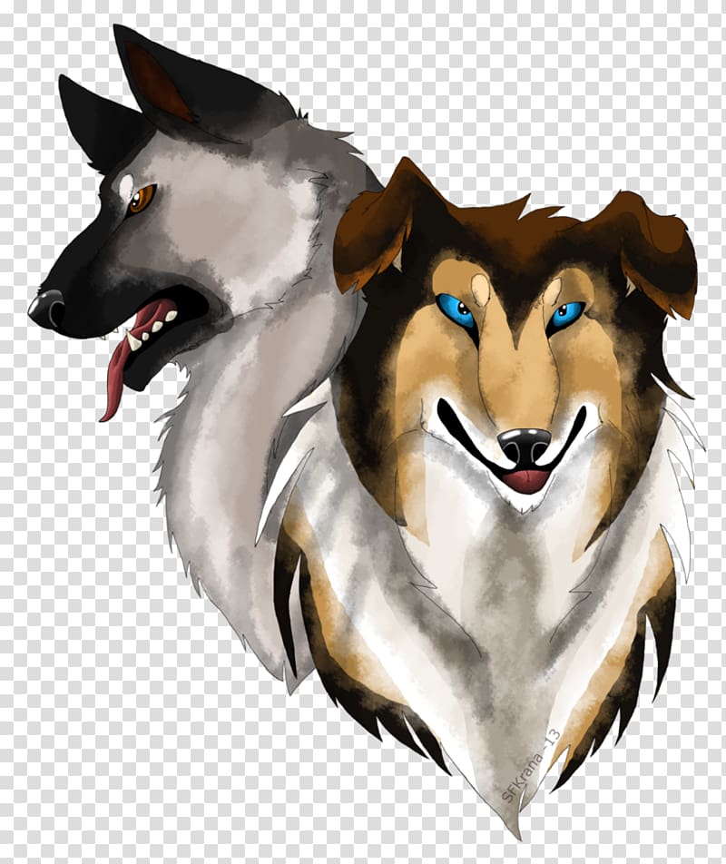 Dog breed Norwegian Elkhound Rough Collie Snout Drawing, others transparent background PNG clipart