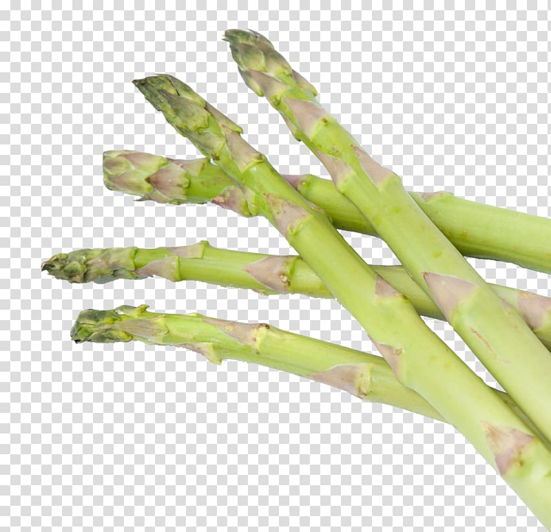 Asparagus, others transparent background PNG clipart