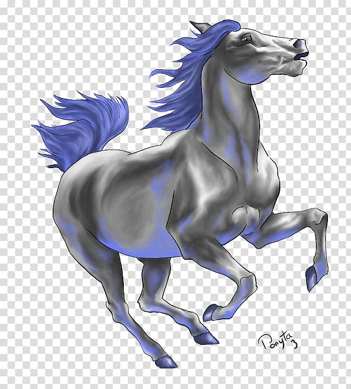 Drawing Mustang Stallion Birthday, others transparent background PNG clipart