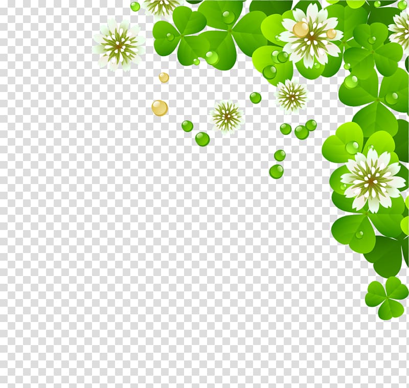 white clover flowers illustration, Four-leaf clover Four-leaf clover, Clover transparent background PNG clipart