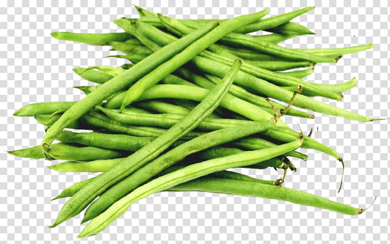 Green bean transparent background PNG clipart