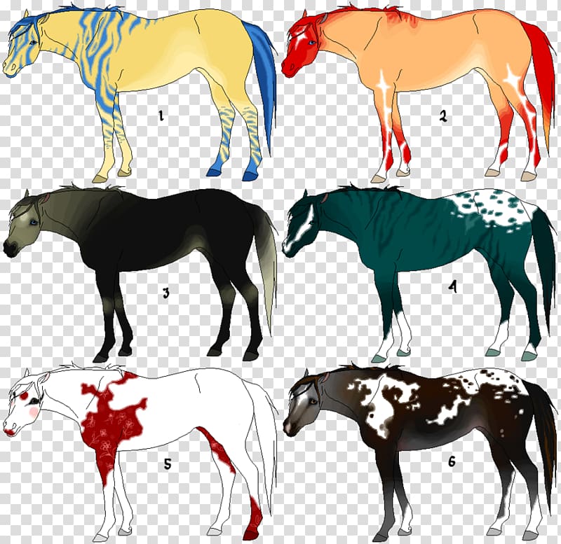 Mule Stallion Foal Gypsy horse Mare, mustang transparent background PNG clipart