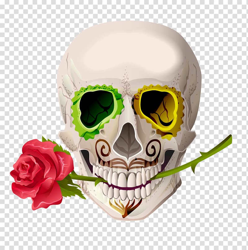 Skull Cinco de Mayo Euclidean Illustration, red rose skeleton skull head transparent background PNG clipart