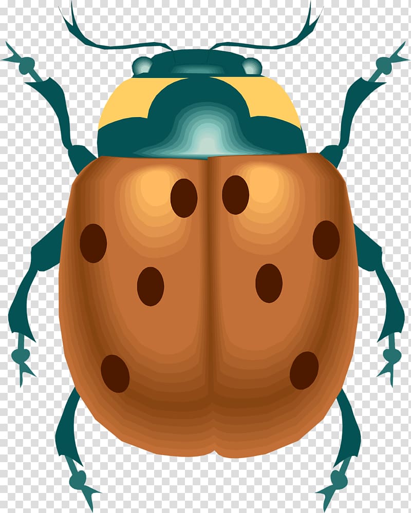 ECOPEST ENVIRONMENTAL CONSULTANCY Ladybird Pest Control , beetle transparent background PNG clipart