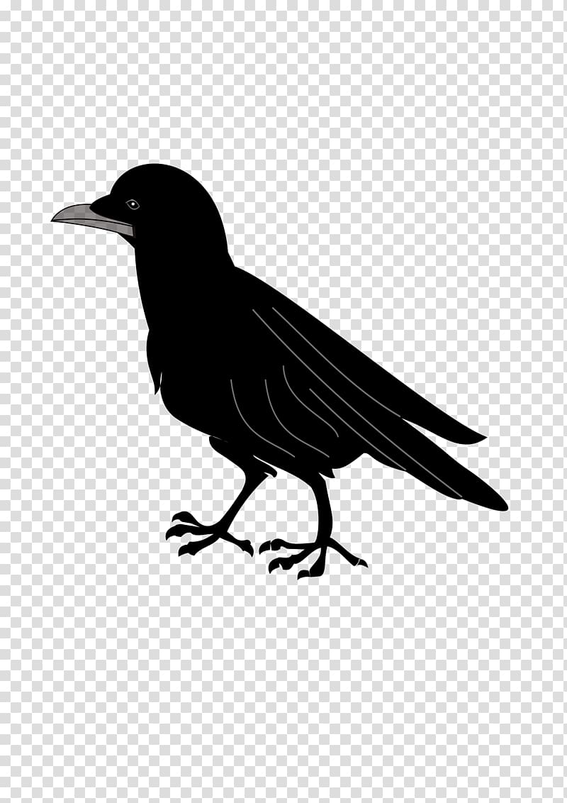 Coat of arms Blazon Common raven , creative crows transparent background PNG clipart