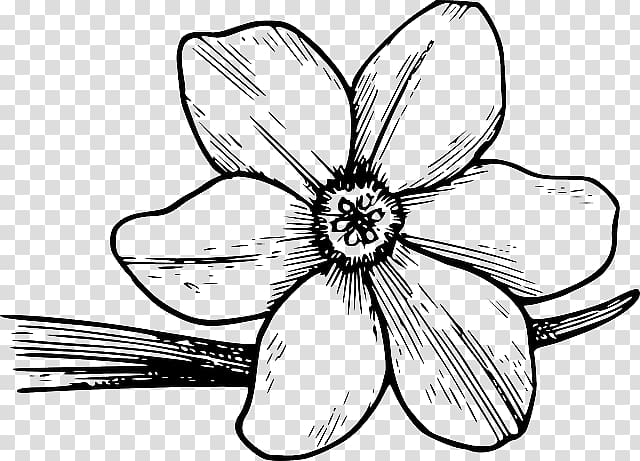 Coloring book Flower Colouring Pages Drawing, bloom vegetation transparent background PNG clipart