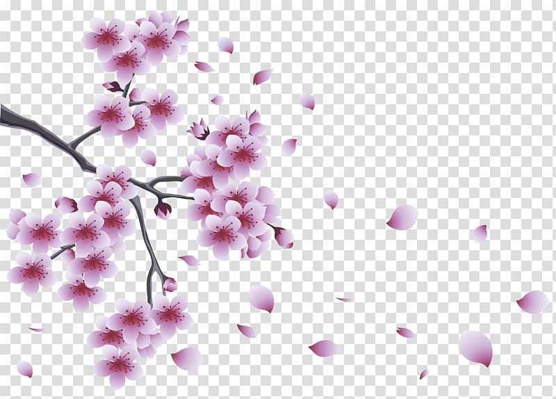 Flower Tree Branch , Bloom Tree transparent background PNG clipart