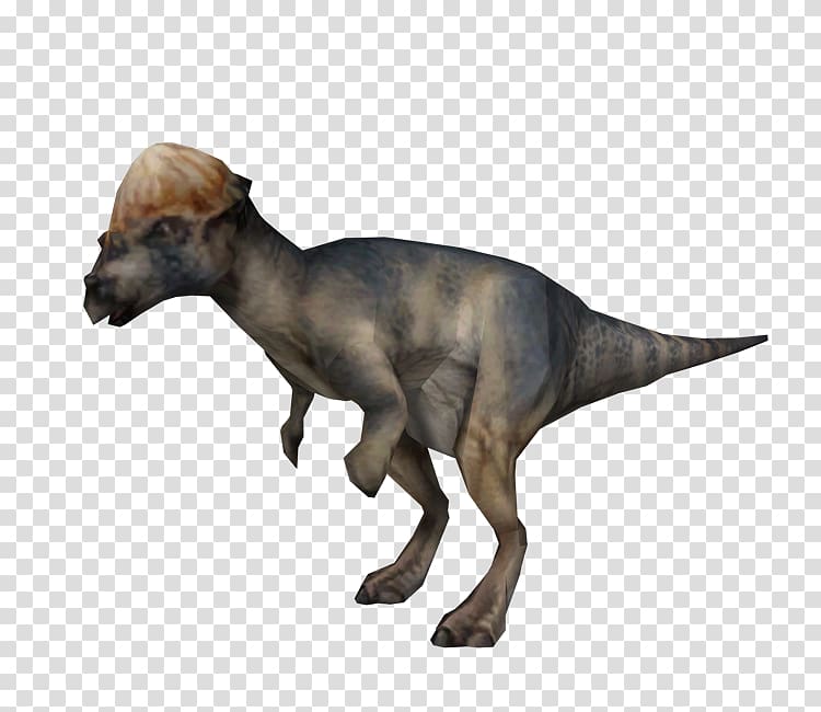 Jurassic Park: Operation Genesis Pachycephalosaurus Warpath: Jurassic Park Homalocephale Tyrannosaurus, dinosaur transparent background PNG clipart