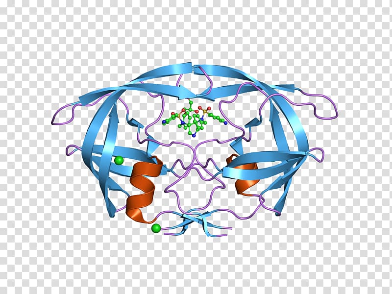 HIV-1 protease Headgear , cartoon of ferocious virus cells transparent background PNG clipart