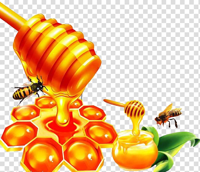 Honey bee Honey bee Honeycomb, honey transparent background PNG clipart