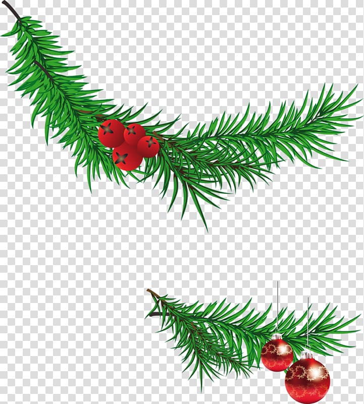 Santa Claus Christmas tree Branch , Christmas banners transparent background PNG clipart