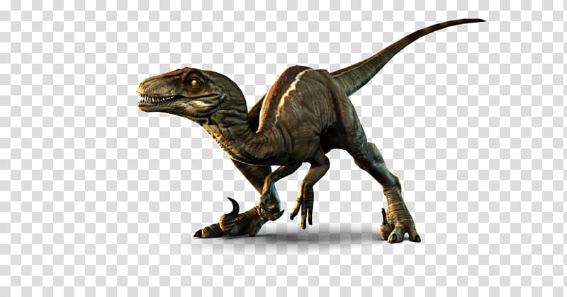 Velociraptor Primal Carnage: Extinction Dilophosaurus Utahraptor, dinosaur transparent background PNG clipart