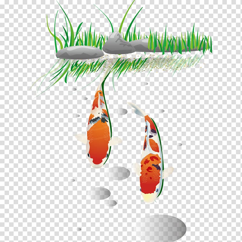 Fish , Fish in the water transparent background PNG clipart