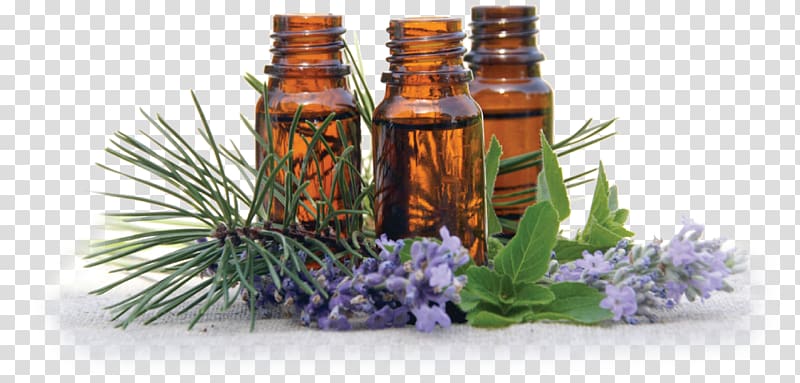 Essential oil Lavender oil Perfume Bottle, oil transparent background PNG clipart