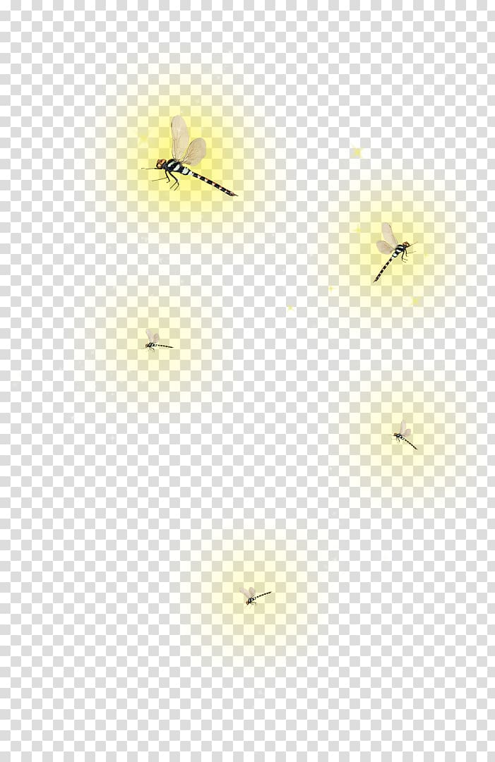 Fireflies PicsArt Studio Insect Desktop , others transparent background PNG clipart