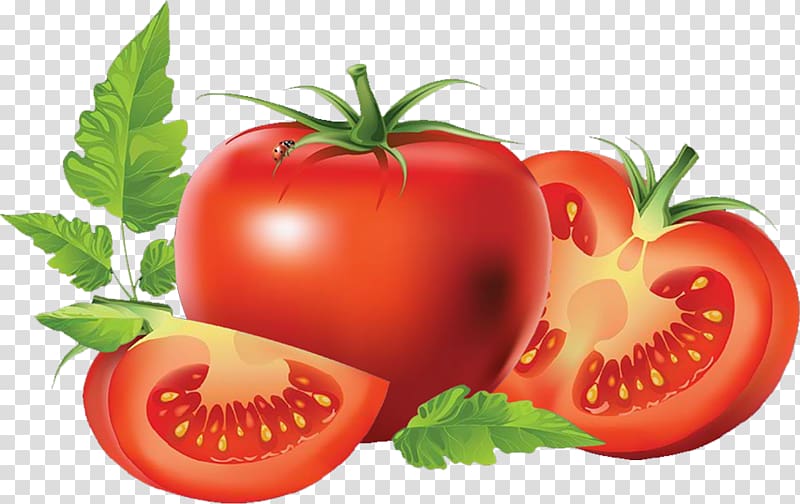 San Marzano tomato Vegetable Food Lycopene, tomato transparent background PNG clipart