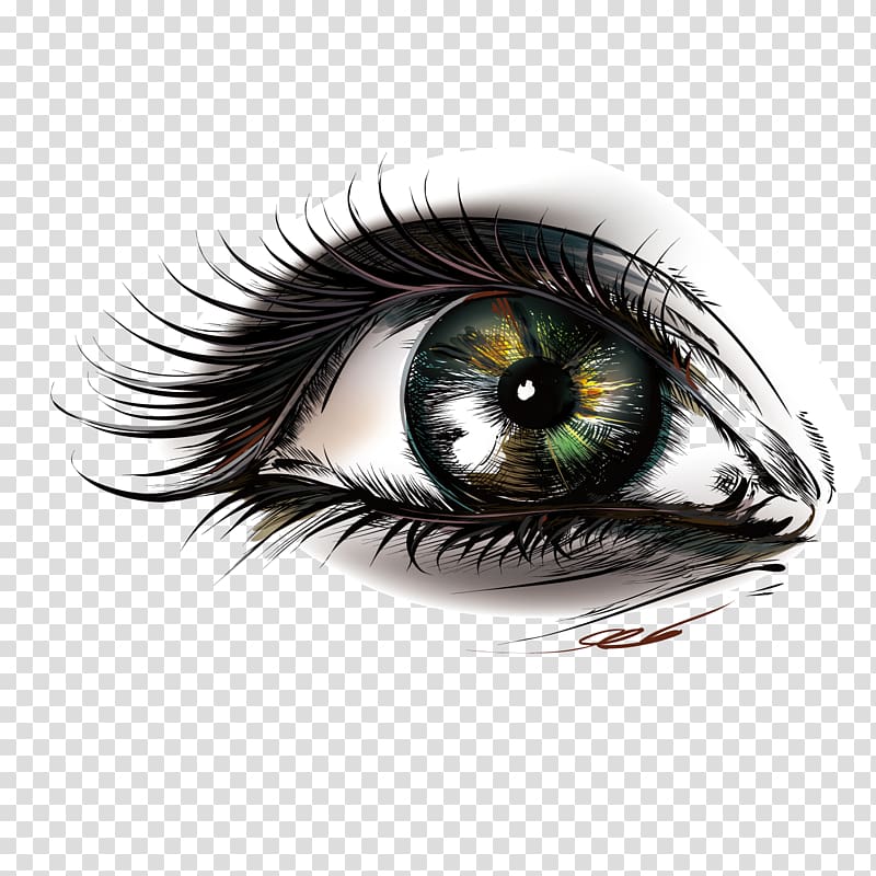 Eye Euclidean , eyes bright eyes transparent background PNG clipart