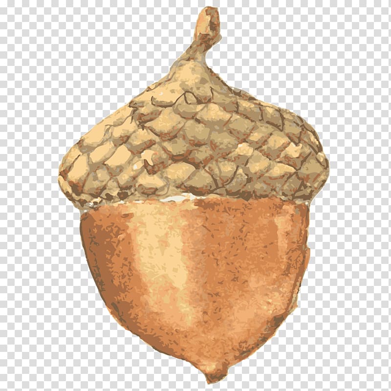 Acorn Sticker Nut , acorn transparent background PNG clipart