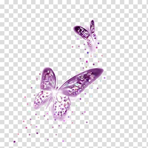 two purple butterflies , Butterfly Purple Computer file, Purple Butterfly transparent background PNG clipart