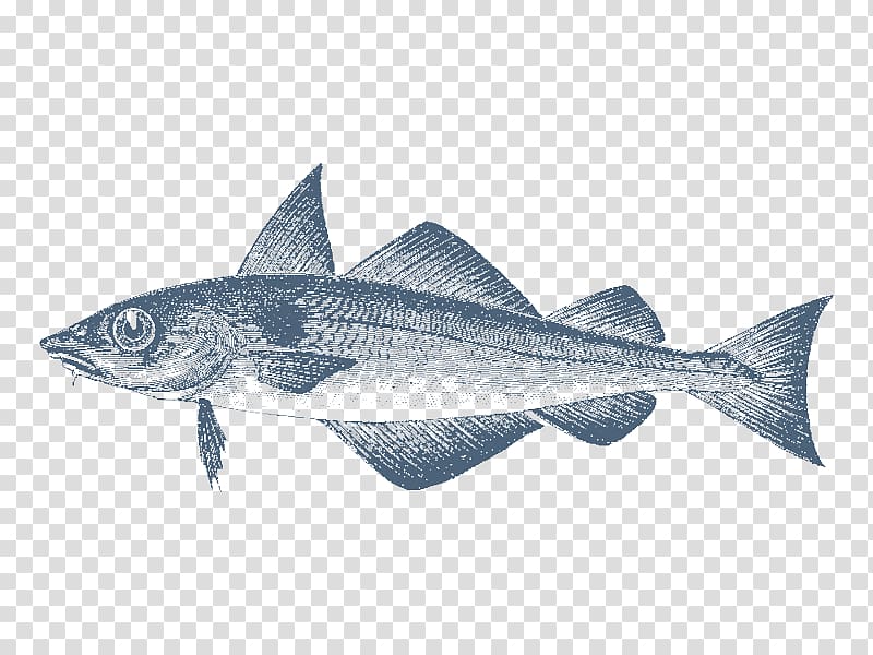 Cod Haddock Sardine Fin Gadidae, shoal of fish transparent background PNG clipart