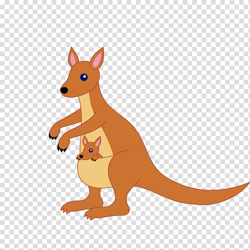 Eastern grey kangaroo Marsupial , Kangaroo Care transparent background PNG clipart