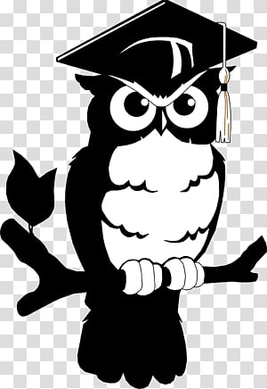 Featured image of post Professor Coruja Coruja Pedagogia Png Drawing coloring book little owl black and white coruja png