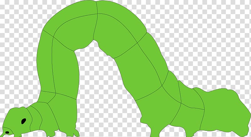 Mammal Cartoon Green Illustration, Inch Worm transparent background PNG clipart