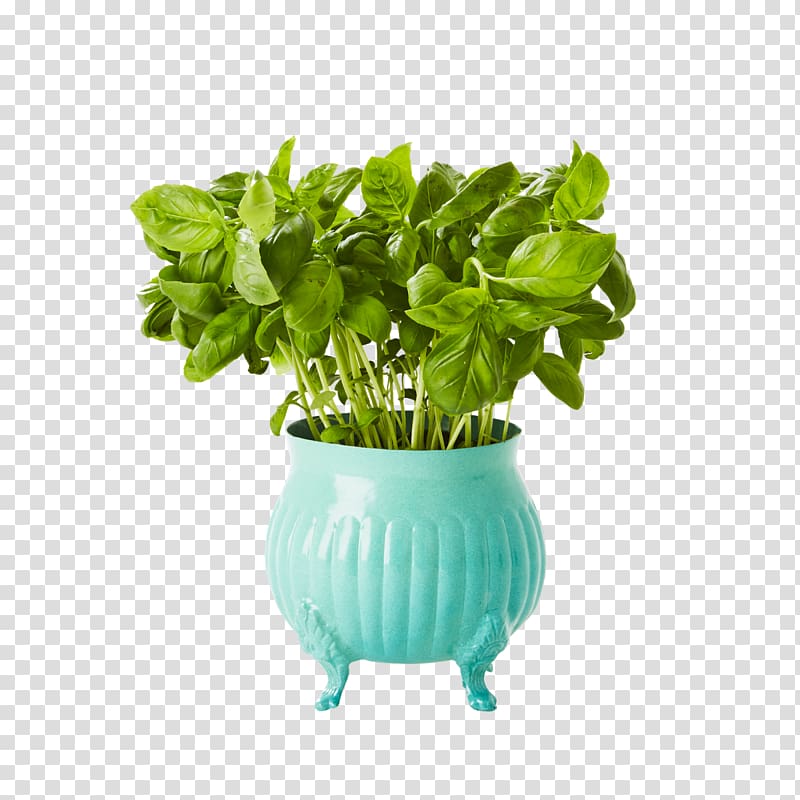 Flowerpot Plant Gardening Plastic, plant transparent background PNG clipart