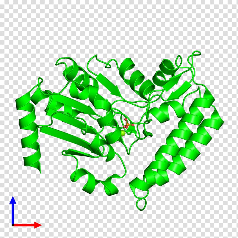 Protein Data Bank Mitogen-activated protein kinase MAPK13, others transparent background PNG clipart