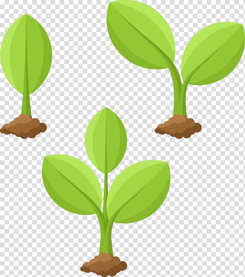 green leaf propagation illustration, Plant Cartoon Illustration, illustration Plant growing transparent background PNG clipart