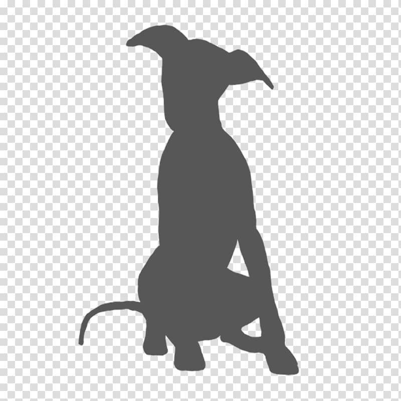 Italian Greyhound Whippet Spanish greyhound Lurcher, dog silhouette transparent background PNG clipart