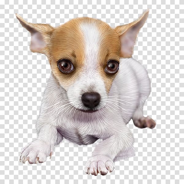 Chihuahua Puppy Dog breed Toy Fox Terrier Tenterfield Terrier, watercolor dogs transparent background PNG clipart