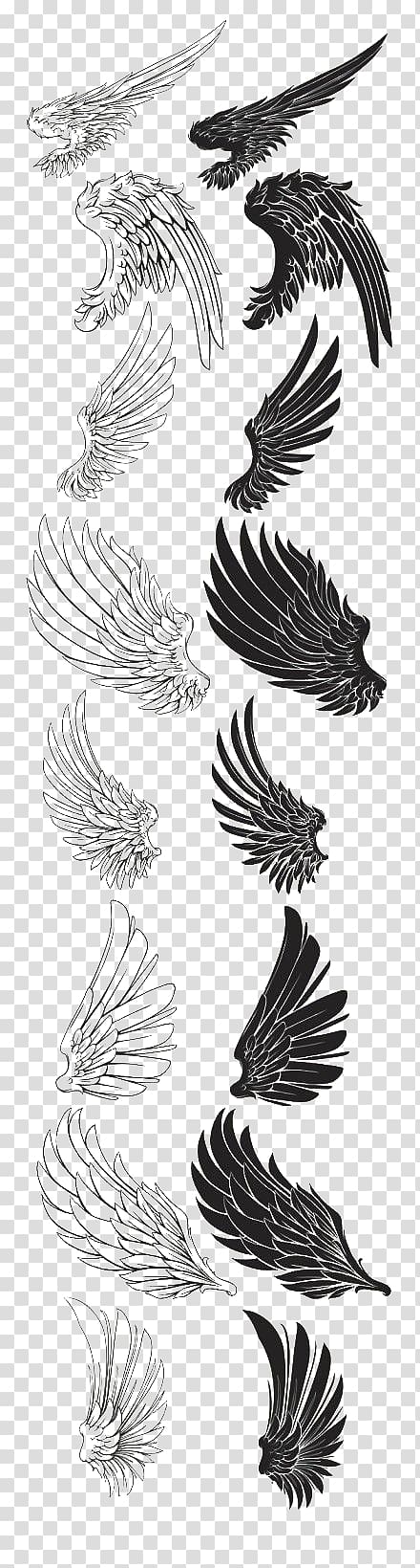 Drawing Brush Feather, Eagle wings brush, black and white wings artwork transparent background PNG clipart