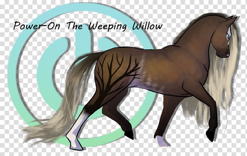 Foal Stallion Mane Colt Mare, weeping willow transparent background PNG clipart