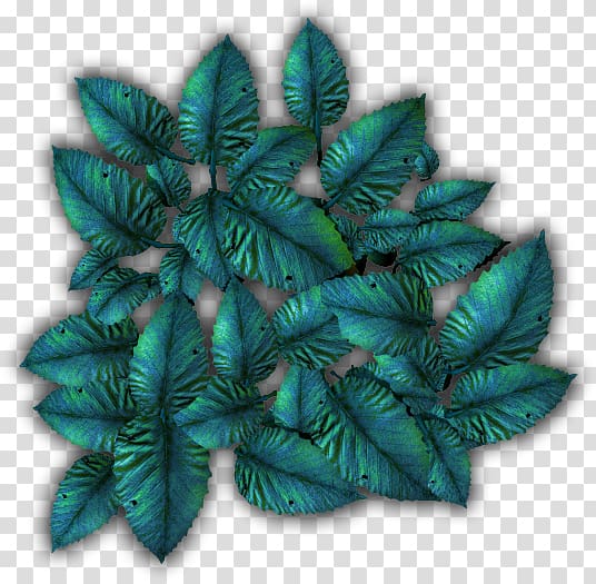 Leaf Turquoise, tropical foliage transparent background PNG clipart