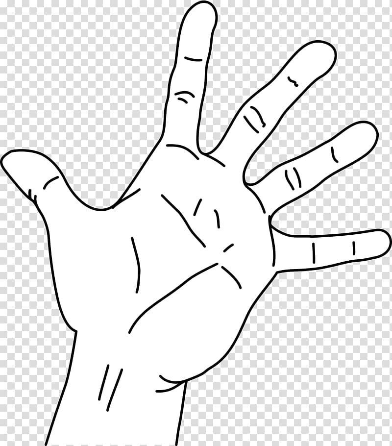 Span Palm Measurement Hand Finger, the palm of your hand transparent background PNG clipart