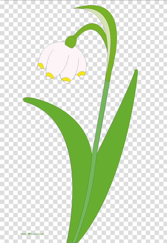 Raster graphics Drawing Snowdrop , others transparent background PNG clipart