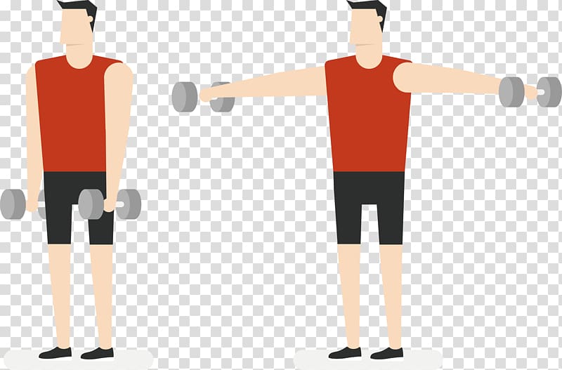 Dumbbell Physical exercise Weight training Olympic weightlifting, Hand dumbbell side lift transparent background PNG clipart
