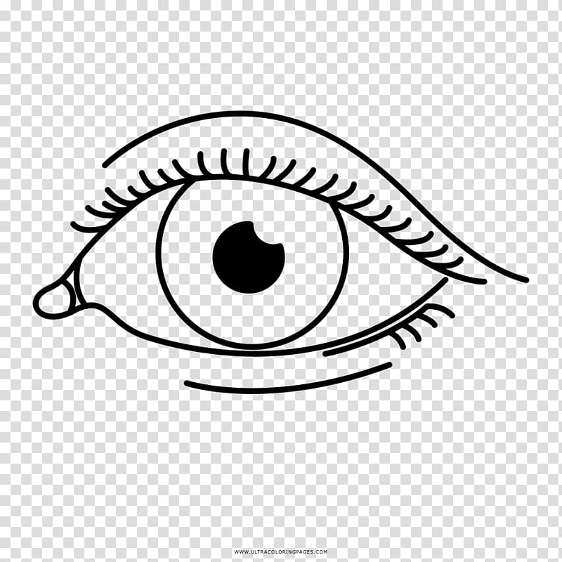 Eyelash Drawing Coloring book, Eye transparent background PNG clipart