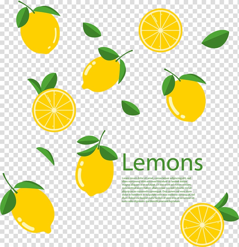 Lemon Lime Euclidean Citron, hand painted lemon transparent background PNG clipart
