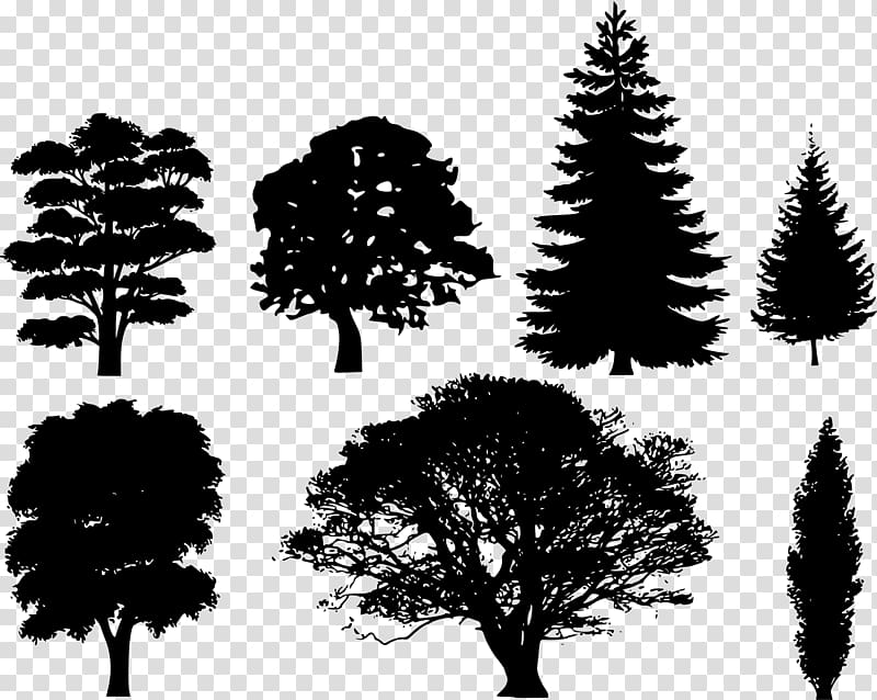 Tree Silhouette Drawing Forest Transparent Background Png