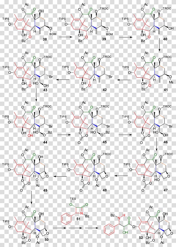 Paclitaxel total synthesis Wender Taxol total synthesis Chemical synthesis, Formed transparent background PNG clipart