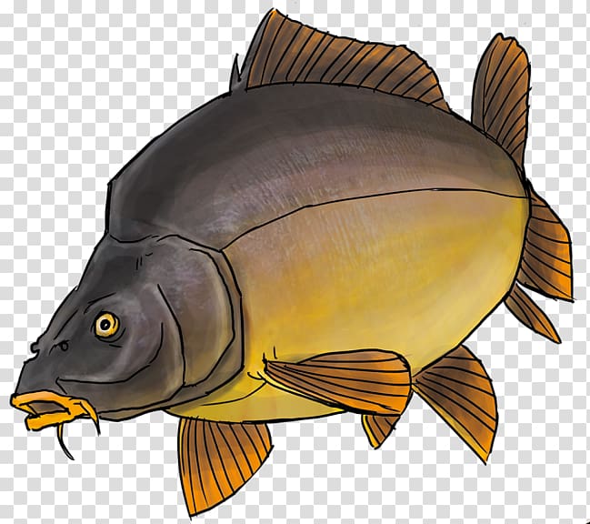 Carp Freshwater fish Koi Drawing, mandala/ transparent background PNG clipart