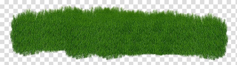 Grass Lawn Grasgroen , grass transparent background PNG clipart