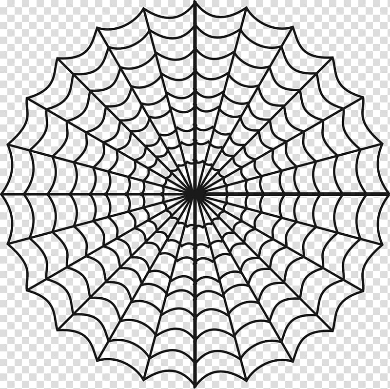 Spider web Coloring book Wolf spider, spider transparent background PNG clipart