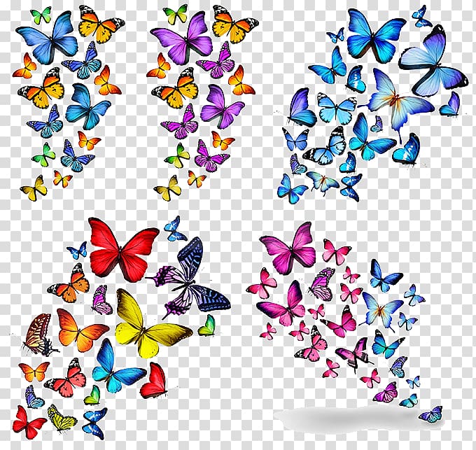 assorted-color butterflies illustration, Butterfly Blue Illustration, Butterfly pattern transparent background PNG clipart