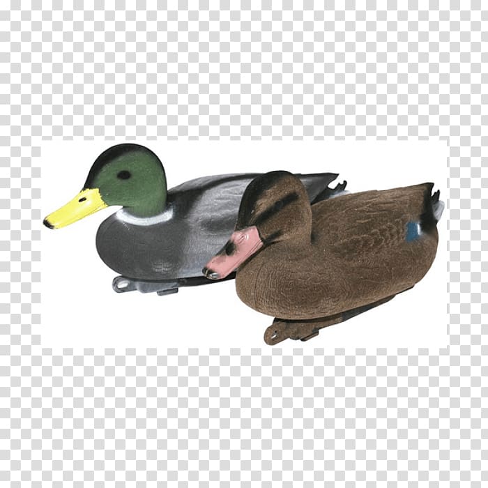 Mallard Duck decoy Bird, duck transparent background PNG clipart