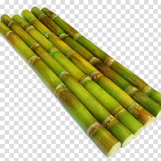 Sugarcane , sugar transparent background PNG clipart