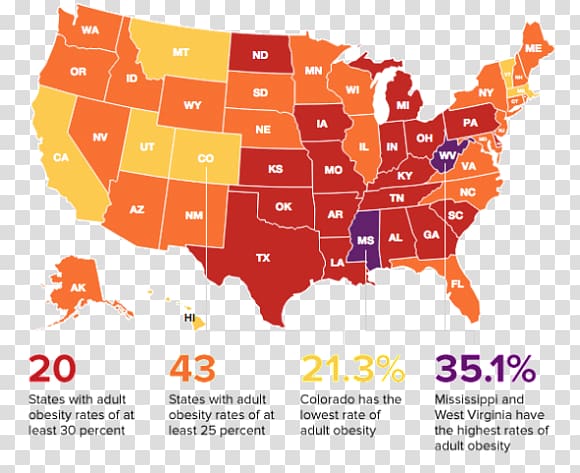 Obesity in the United States Obesity in the United States U.S. state Overweight, childhood obesity transparent background PNG clipart